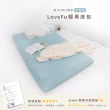 【LoveFu】無光薄墊-標準單人3尺(薄床墊/輕巧好搬運/10cm薄墊 40cm享受)
