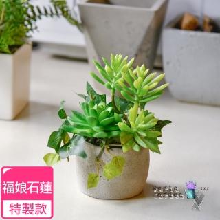 【Meric Garden】高模擬多肉植物療癒手工水泥小盆栽 福娘石蓮特製款