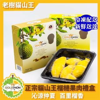 【Gold Thon】馬來西亞老樹貓山王榴槤果肉400克x1盒(真空貼體盒裝 清真認證)