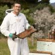 【Arataki】紐西蘭麥蘆卡活性蜂蜜UMF10+/MGO261+ 250g(紐西蘭80年最老牌)