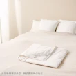 【奇哥官方旗艦】特級手工蠶絲被胎(105x135cm 棉被胎 四季被胎 防螨抗菌 輕量被胎)