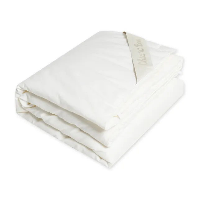 【奇哥官方旗艦】特級手工蠶絲被胎(105x135cm 棉被胎 四季被胎 防螨抗菌 輕量被胎)