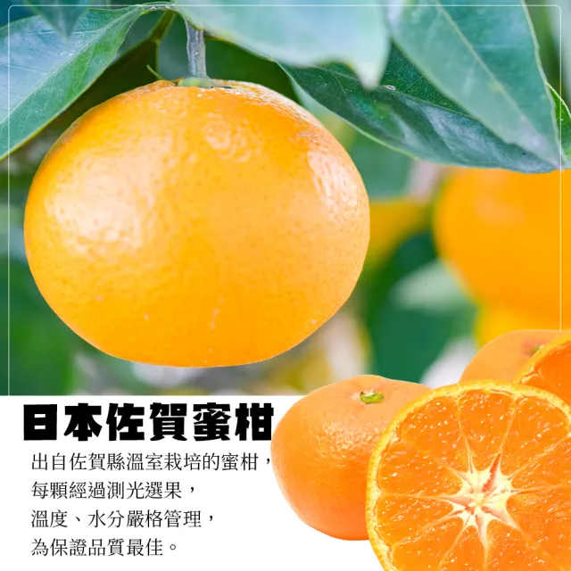 【WANG 蔬果】日本佐賀縣無籽蜜柑350gx1盒(4-6顆/盒)