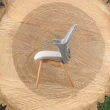 【舒樂活 4Health】CO Chair本色梣木腳 — 協作空間辦公椅(休閒椅 單椅 腰靠 健康 人體工學 居家)