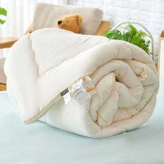 【伊德生活】蘆薈負離子發熱被 高階大豆超暖版 單人(冬被、大豆纖維)