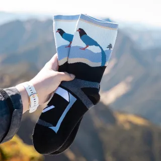 【WOAWOA】2入組 台灣特有種極致速乾登山襪(美麗諾羊毛 100%羊毛紗線 羊毛襪 登山襪 保暖襪 11754578)