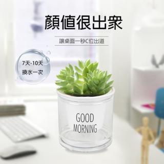 【PS Mall】透明自動吸水懶人花盆 塑膠盆 圓形塑膠花盆盆栽(J3088)