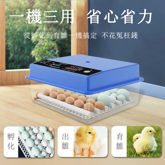 巧可】孵化機24枚孵蛋器(雙電源全自動控溫小雞孵化器) - momo購物網 
