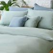 【伊德生活】埃及天絲棉 枕頭套 莫蘭迪色系(天絲、埃及棉、枕頭套)