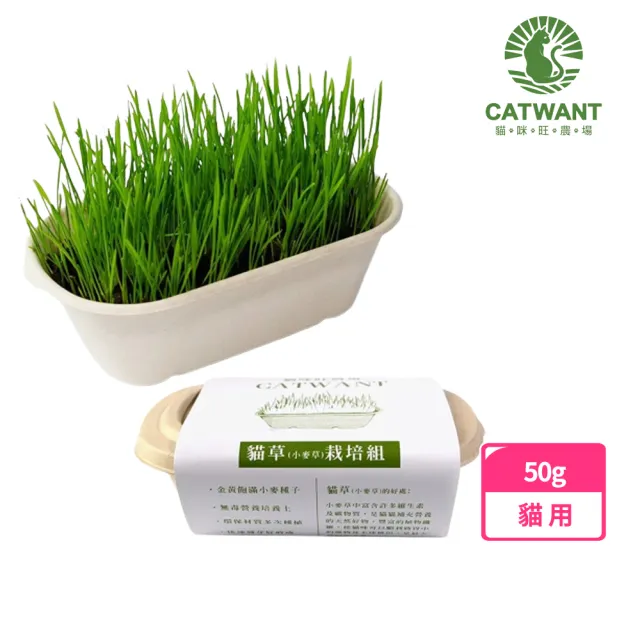 【CATWANT 貓咪旺農場】小麥草DIY種植組(貓草/貓零食/YOYO犬貓館)