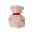【ToysRUs 玩具反斗城】Friends for Life 紅色圍巾泰迪熊玩偶