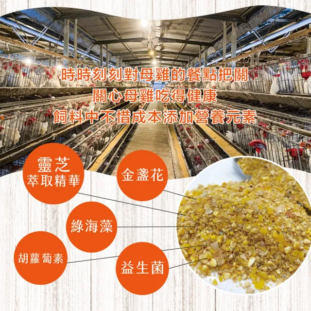 【初品果】富立牧場靈芝機能雞蛋60顆x1箱(紅殼蛋_48小時內新鮮生產_無驗出普芬尼、戴奧辛)