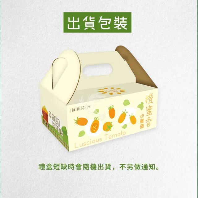 【禾鴻】郭老師農場有機認證橙蜜香小番茄禮盒4斤x4盒(淨重不帶蒂頭出貨)