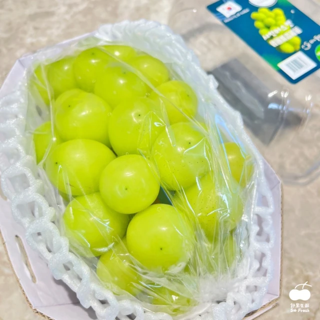 皮果家 台灣產 巨峰葡萄1.6公斤/箱(約5-9包) 推薦