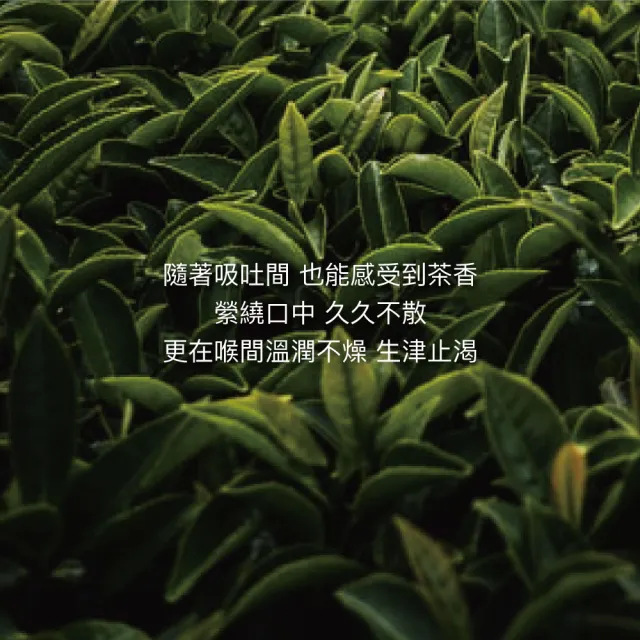 【High Tea】駿躍龍騰-蜜炆龍涎茶4gx8入x1盒(台灣高山烏龍茶;30周年紀念茶)