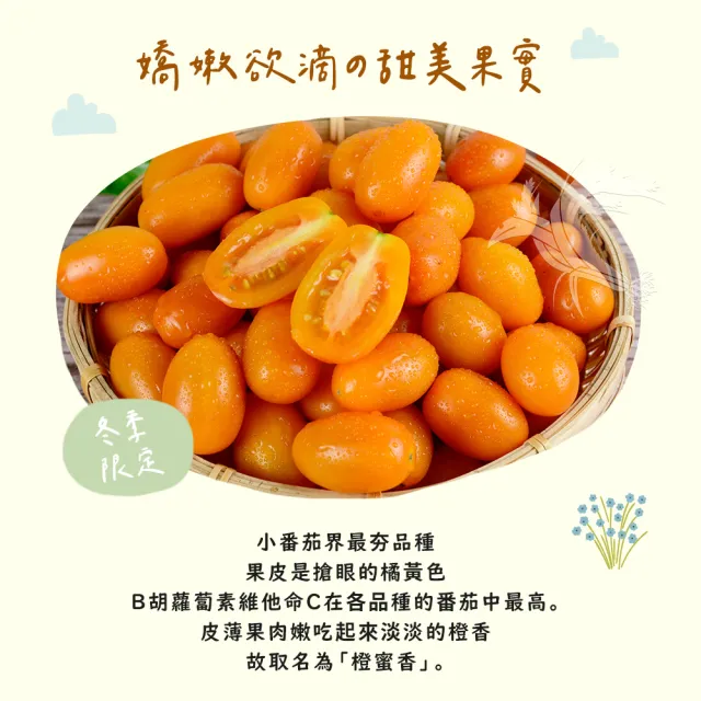 【禾鴻】橙蜜香小番茄禮盒5斤x1盒(不帶蒂頭出貨)