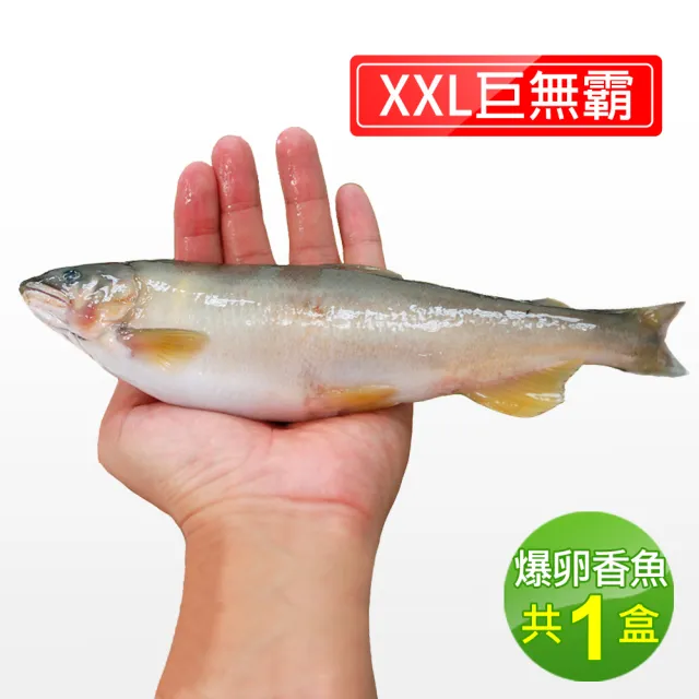 【優鮮配】宜蘭特選巨無霸XXL爆卵母香魚1盒(5尾/920g/盒)