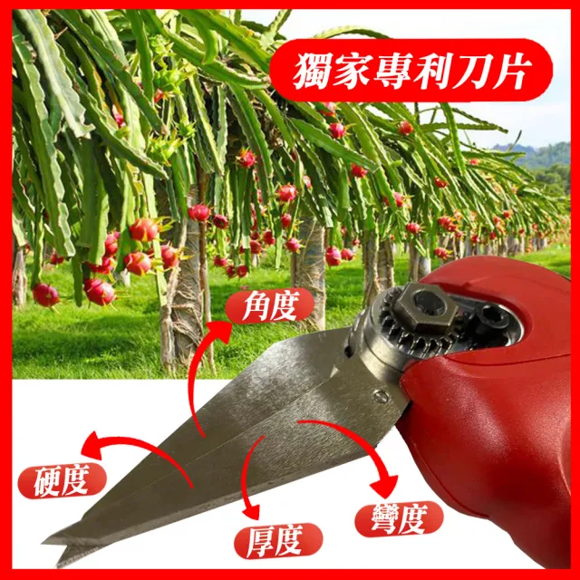 【立豐科技】歐美品牌市場｜鋰電池剪刀｜食品水果蔬菜切割多功能修剪修枝果樹鏈鋸(火龍果專屬電剪)