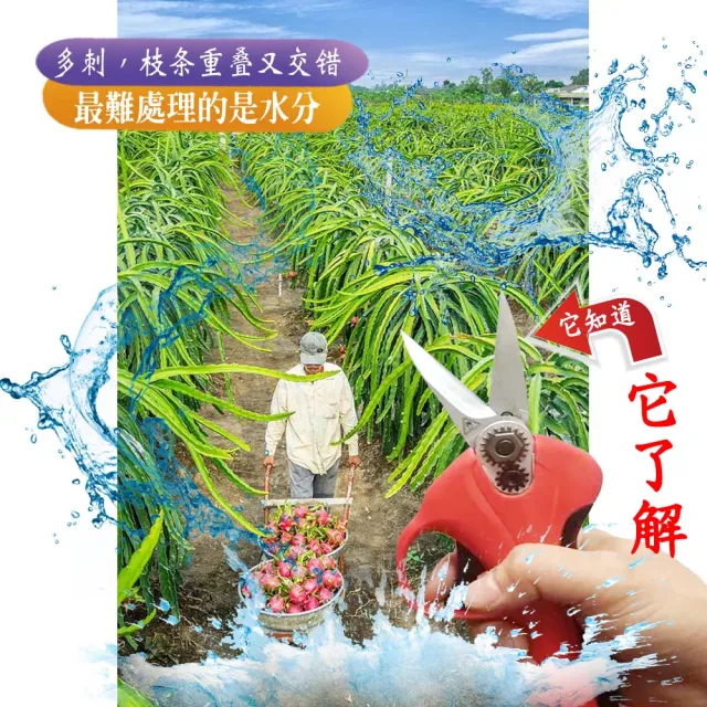 【立豐科技】專利刀片防水機身火龍果電剪｜電剪｜修剪｜修枝｜果樹修枝｜鏈鋸子｜往復鋸(充電式)
