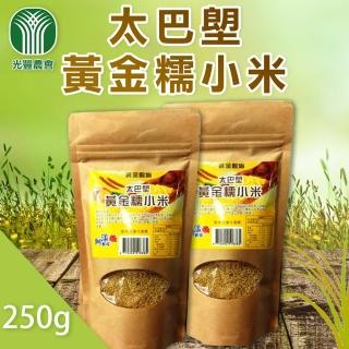 【光豐農會】太巴塱黃金糯小米250gX1包
