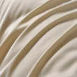 【Betrise】抗菌天絲素色枕套床包二件組-獨立筒適用加高床包- 窗台秘密(單人)