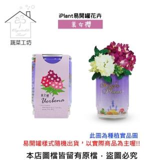 【蔬菜工坊】iPlant易開罐花卉-美女櫻