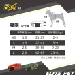 【ELITE PET】FLASH閃電系列 寵物反光頸圈 M(軍綠)