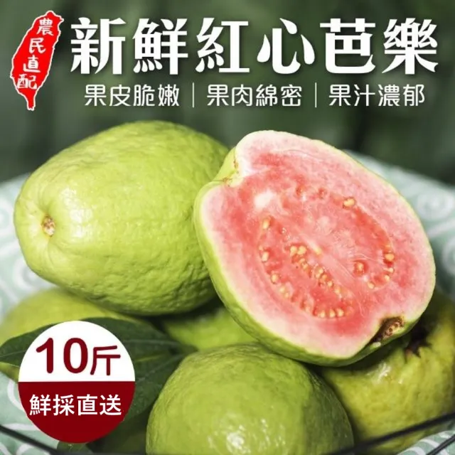 【WANG 蔬果】嘉義嚴選紅心芭樂(10斤/箱)