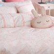 【HongYew 鴻宇】300織美國棉 兩用被床包組-眠眠兔 粉(雙人)
