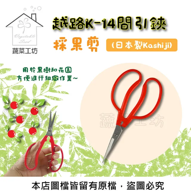 【蔬菜工坊】越路K-14間引鋏.採果剪(日本製Kashiji)