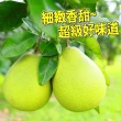 【台灣紅】麻豆50年老欉極品文旦10斤x1盒(7-12顆/10斤/中秋禮盒_柚子)