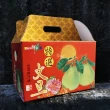 【台灣紅】斗六48年正宗老欉文旦10斤x2盒(7-12顆/10斤/中秋禮盒_共20斤_中秋柚子)
