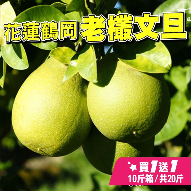 【台灣紅】鶴岡50年老欉特級文旦10斤x2盒(7-12顆/10斤/中秋禮盒_共20斤_中秋柚子)