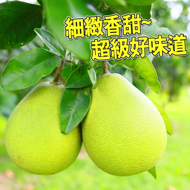 【台灣紅】麻豆60年極品文旦5斤x1盒(頂級老欉小果_6-9顆/5斤/中秋禮盒_中秋柚子)