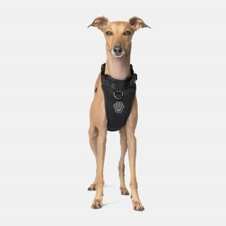 【CANADA POOCH】安全第一胸背帶單色-S(胸背帶/寵物配件/Everything Harness S)