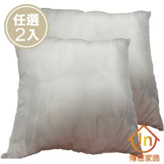 【J&N】臺灣製抱枕心60*60-800克(2入/1組)