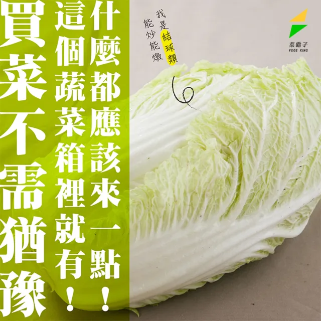 【菜霸子】蔬菜箱(活力蔬菜組合箱-組合隨機 廠商直送 現貨)