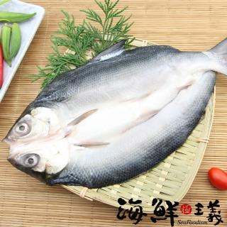 【海鮮主義】整尾無刺蝨目魚(3尾/組-每尾450g/尾)