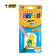 【BIC】12色色鉛筆
