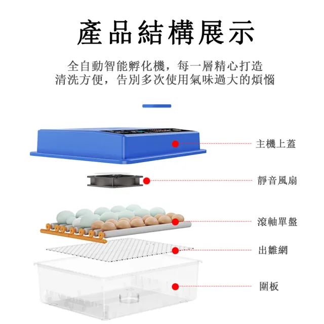 巧可】孵化機64枚孵蛋器(雙電源全自動控溫小雞孵化器) - momo購物網 