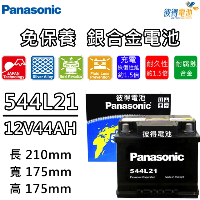 Panasonic 國際牌 115D31L 115D31R 