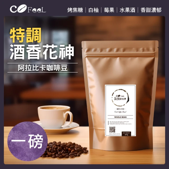 TAI HU KU 台琥庫 火山高原咖啡豆系列熟成果香咖啡豆