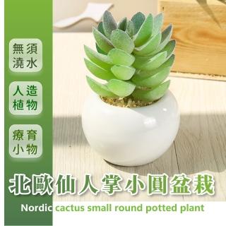【點綴生活】北歐仙人掌小圓盆栽(多肉植物 模擬人造花 乾燥花 假花盆 室內 居家擺飾 辦公室 桌面裝飾品)