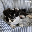 【WOOLLY】雷克條紋寵物汽車座椅-L(睡墊/坐墊)