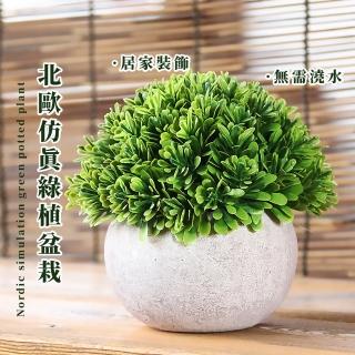 【療癒之家】北歐仿真綠植盆栽(多肉植物 假植物 綠化 人造花 擺件 禮物 辦公室 裝飾 花盆 乾燥花 假花)