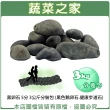 【蔬菜之家】黑卵石 5分 3公斤分裝包(黑色鵝卵石.健康步道石鋪面石)