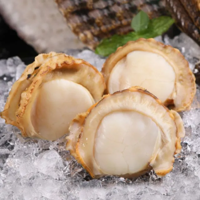 【悅生活】鮮市集 鮮甜可口扇貝6-7cm約12入裝 2盒組(上船急凍 包冰率低)