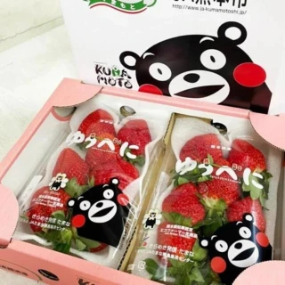 【RealShop 真食材本舖】日本空運熊本/福岡/長崎/佐賀產地隨機草莓550g±10%x1盒(每盒兩包)