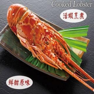 【海之醇】野生熟凍龍蝦-2隻組(450g/隻)