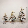 【KIRA與花花藝】PE法式質感聖誕樹落雪款/中-雪花白/桌上聖誕樹(永生花裝飾/聖誕禮物/聖誕節/聖誕樹)